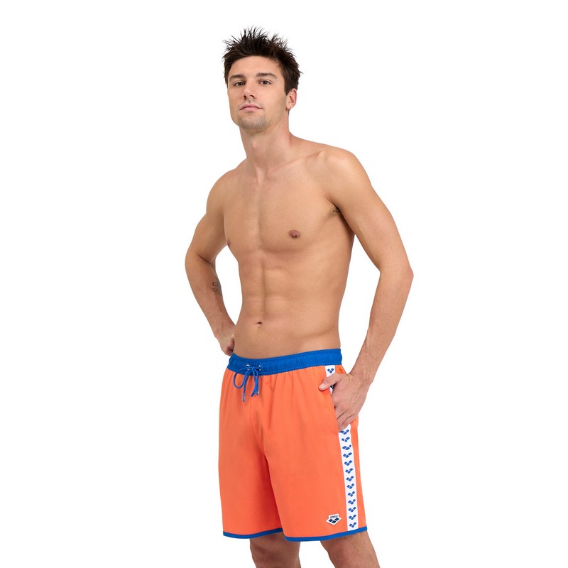 ARENA Icons Team Stripe Superfly Back