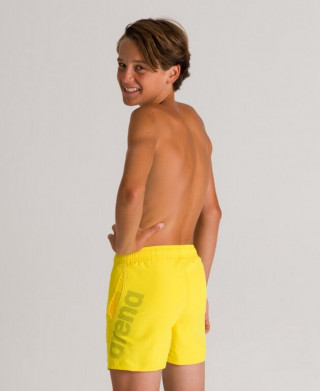 FUNDAMENTALS ARENA LOGO JR YELLOW 