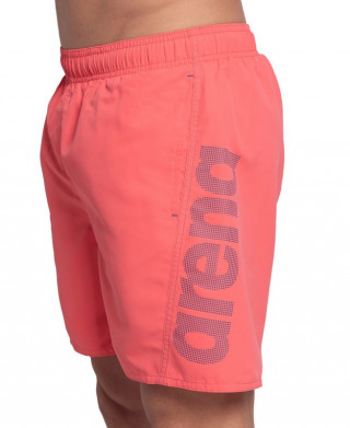 FUNDAMENTALS ARENA LOGO BOXER R 