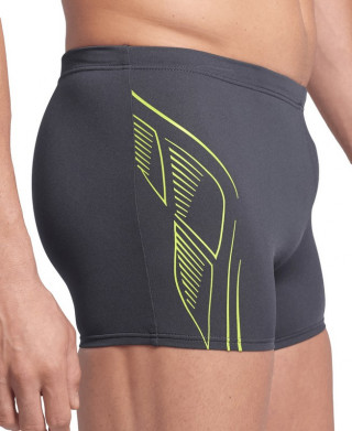 MEN'S ARENA REFLECTING SWIM SHORT 