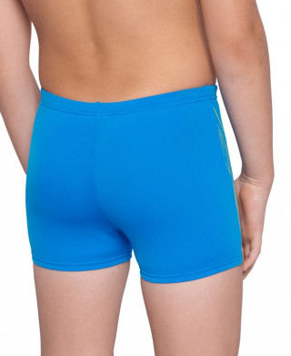 BOY'S ARENA REFLECTING SWIM SHORT 