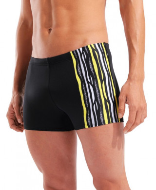 M ARENA STRIPES SWIM SHORT