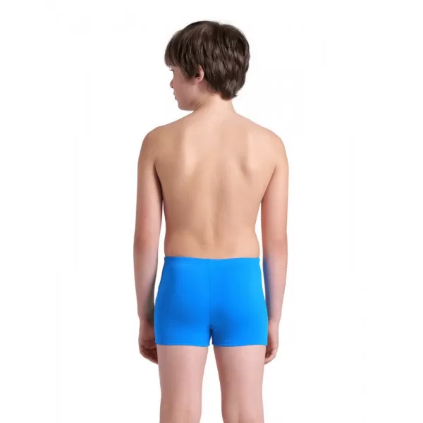 BOYS ARENA LOGO GRAPHIC SWIM SHORT BLUE RIVER-WATER MULTI 