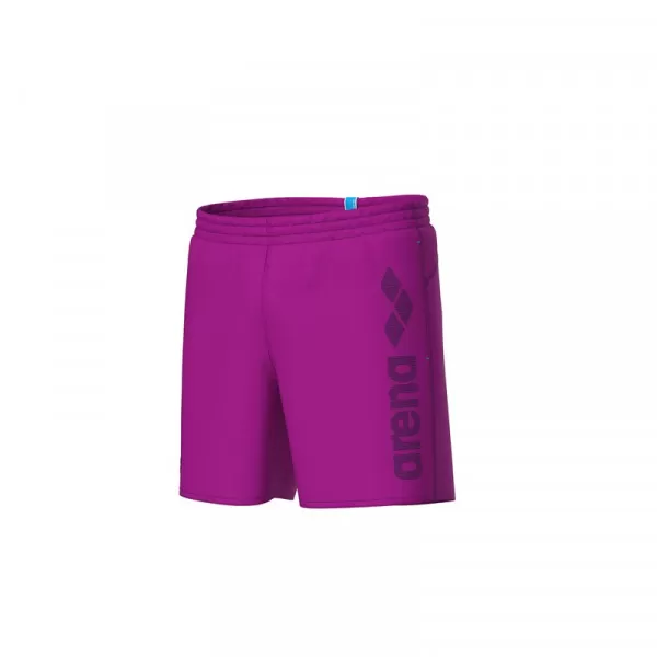 MEN'S ARENA LOGOTYPE BEACH BOXER 