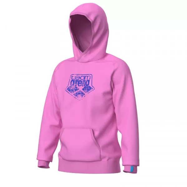 HOODED SWEAT ARENA LOGO 