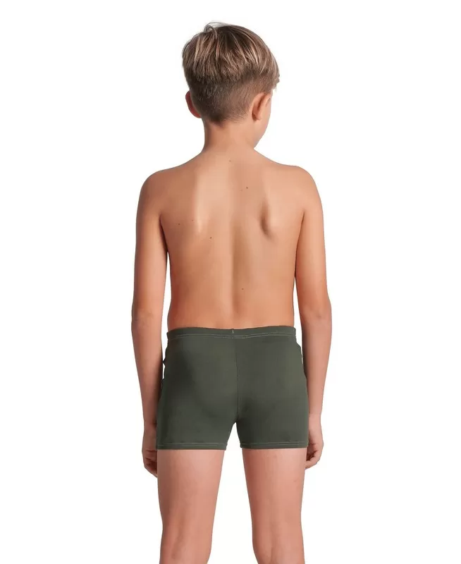 B ARENA POSEIDONIA SWIM SHORT SAGE 