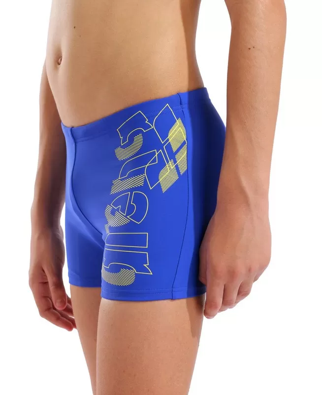 BOY'S ARENA TALES SWIM SHORT