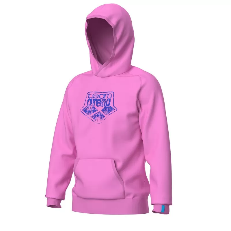 HOODED SWEAT ARENA LOGO 